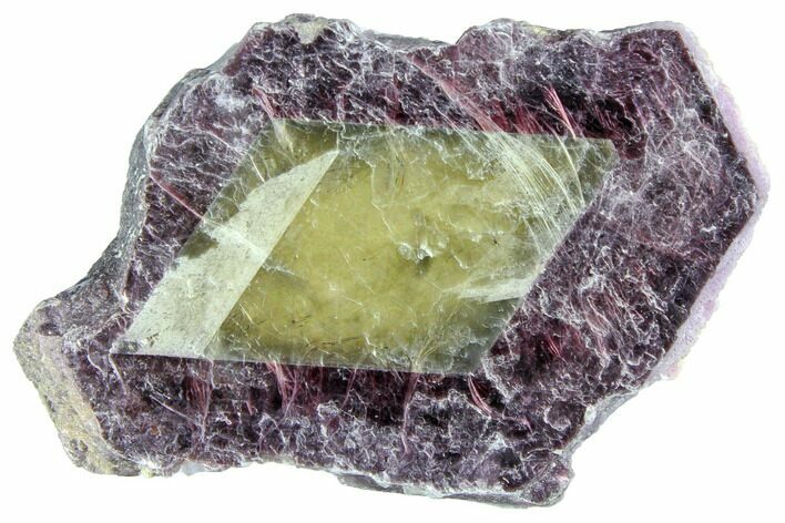 Bicolored Lepidolite - Brazil #150345